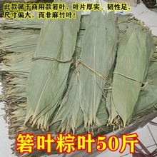 厂家野生干粽叶粽子叶端午包粽子粽叶批发50斤商用端午野生大号