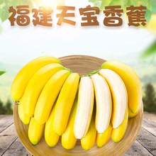 福建天宝香蕉 代发3/5斤当季皇帝香糯应季新鲜水果非红美人香蕉