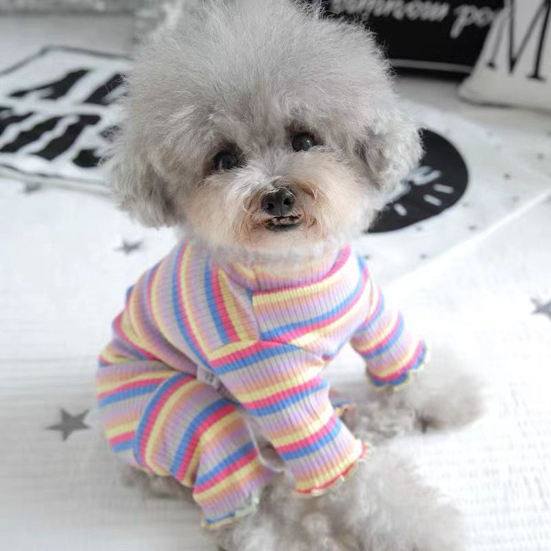 宠物衣服四脚博美小型犬比熊泰迪狗狗薄款条纹四脚衣家居服睡衣