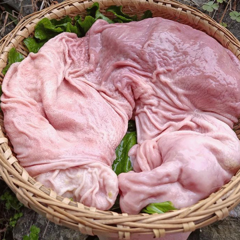 猪肚新鲜整只大肚子农家散养土猪肚生猪肚批发特厚猪肚子猪肚鸡