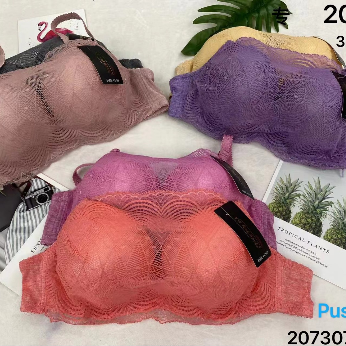 外贸中东市场大码有钢圈厚杯女士文胸现货批发蕾丝胸罩断码特价