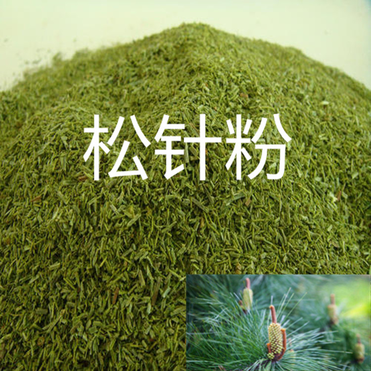 现货 松针粉 饲料级松针粉 畜牧松针粉 量大从优 松枝粉 松针粉