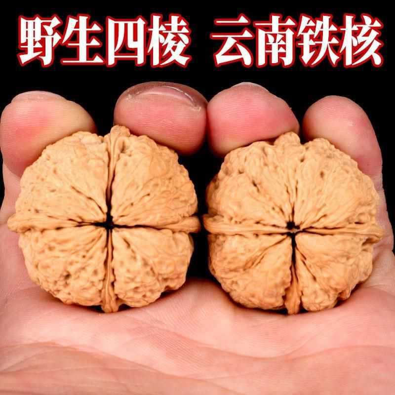 文玩核桃四棱天然采摘男士手把件云南野生铁核桃文玩把玩精品盘玩