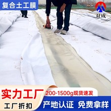 复合土工膜400g 人工湖河道工程防渗土工布 pe复合防渗膜两布一膜