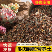 多肉土专用颗粒营养土植物批发泥炭种植土铺面石叶插纯颗粒土包邮