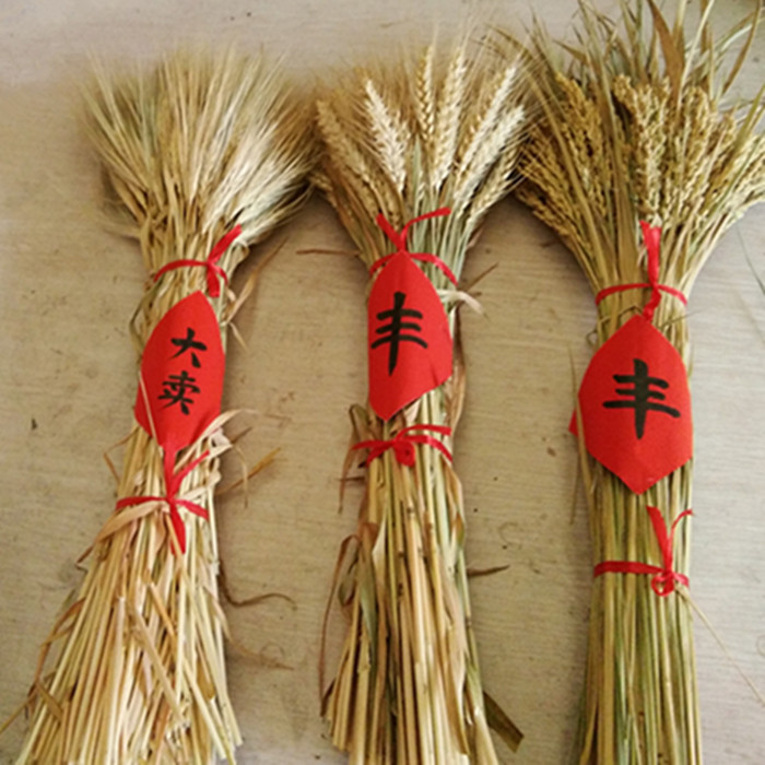 天然干花稻穗麦穗田园风小麦开业大麦花束装饰摆件拍摄道具
