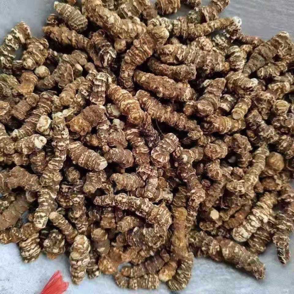 云南重楼个 七叶一枝花 蚤休独角莲干货中药材 100克包邮非进口