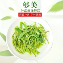 恩施富硒茶2023新茶高山云雾雨露绿茶茶叶炒青工艺耐泡浓香型500g