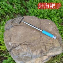 赶海耙子不锈钢赶海海边挖蛤蜊花蛤牡蛎沙滩拾贝工具铲挠耙户外