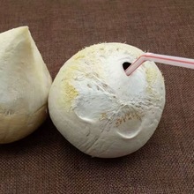 泰国进口奶香椰皇新鲜椰子香水椰奶香孕妇小椰青椰汁煲鸡椰水批发