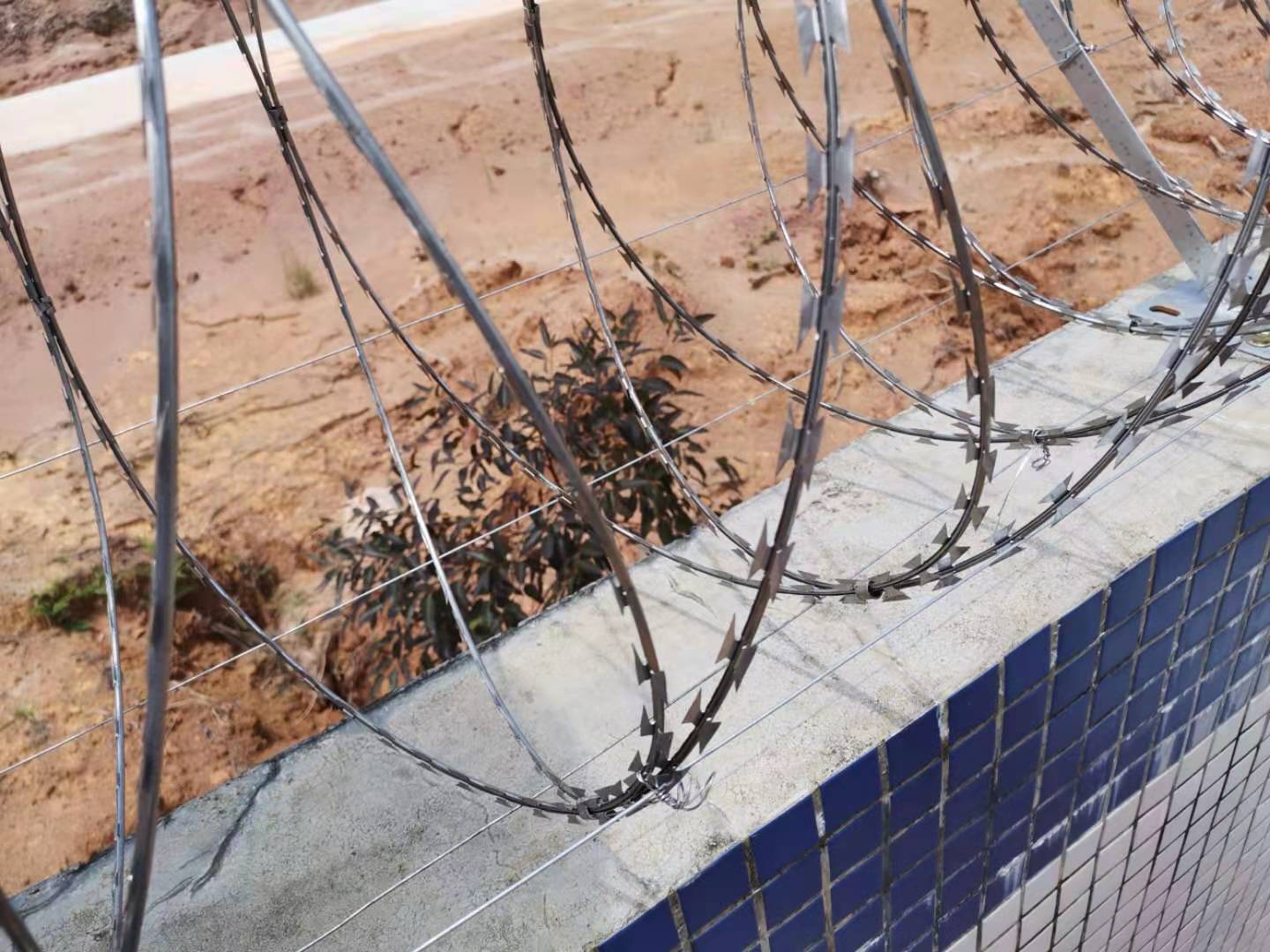 热镀锌刀片刺线 304不锈钢刀片刺网 刺线刺铁丝现货厂家