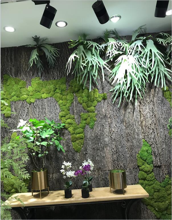 新装饰树皮大块干树皮装饰造景室内天然杉摄影道具墙面背景板