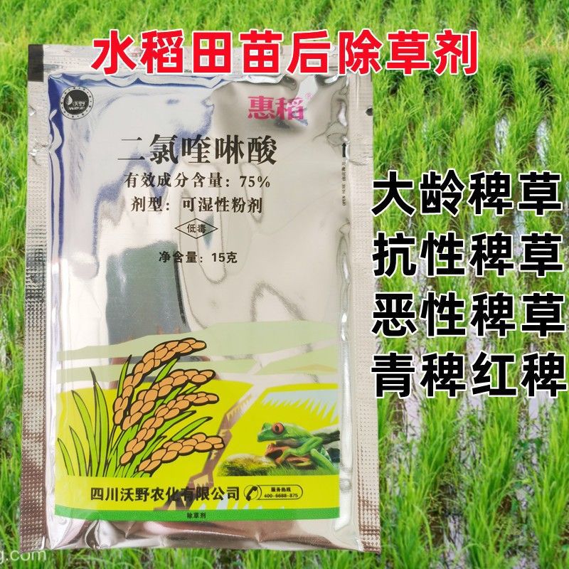 沃野75%水稻稗草除草剂二氯喹啉酸水稻田抛秧田草稗草除草剂青稗