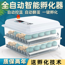芦丁鸡孵化器孵小鸡的机器家用鸡蛋小型孵化箱鸟蛋孵蛋器鸡笼见描