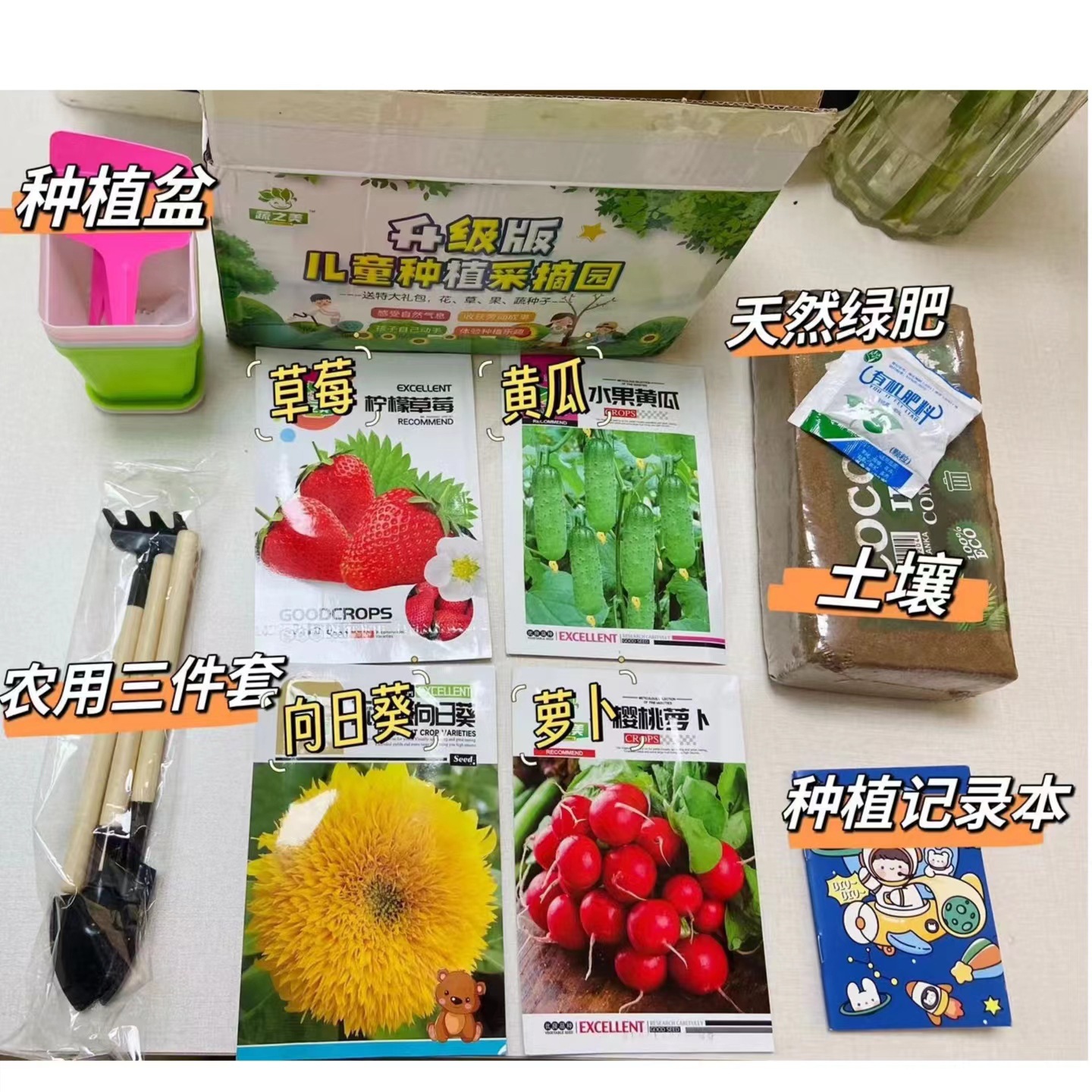 柠檬草莓水果黄瓜玩具熊向日葵樱桃萝卜四合一田园种植大礼包