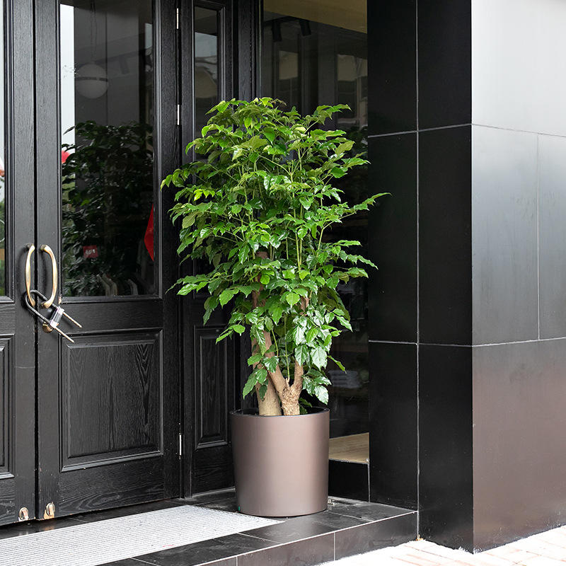 特大号花盆落地圆形直筒轻奢懒人自吸水别墅门口花盆幸福树批发