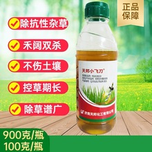 天邦 小飞刀 23%草铵膦乙羧氟草醚精喹禾灵 非耕地杂草除草剂900g