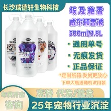 埃及艳香宠物大桶沐浴液狗狗香波宠物洗澡浴液精油3.8L·年底限降