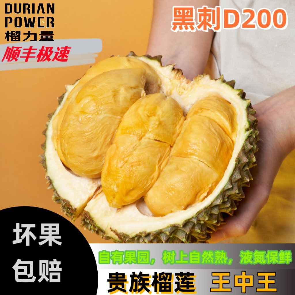 黑刺d200榴莲马来西亚液氮榴莲aa级5头6头7头8头新季批发树上熟