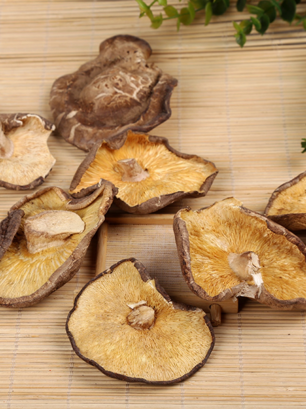 商用干香菇大片1500g净重薄片冬菇干货香菇碎片香菇包子馅料香浓