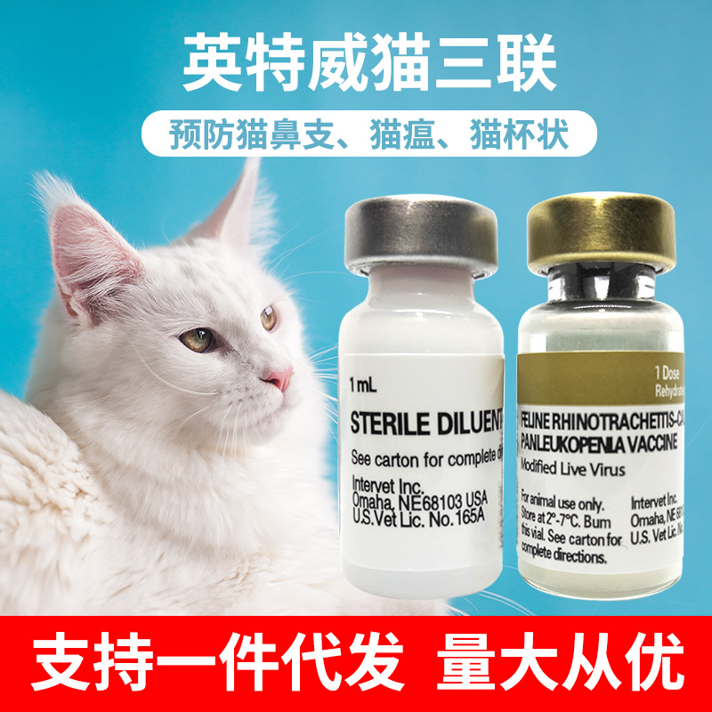 英特威猫三联猫咪疫苗自打疫苗猫三联幼猫小猫预防针疫苗批发代发
