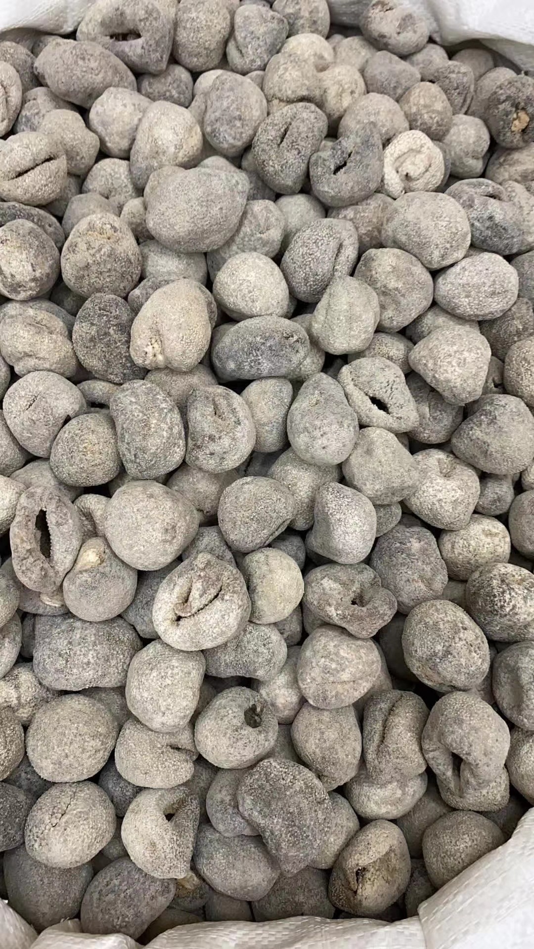 球参珍珠参 淡干龙眼参乌园参酒店食材 产地货源一德路批发