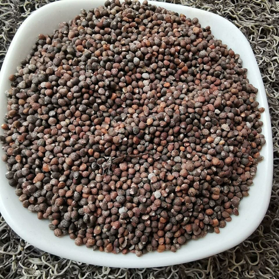 500g苏子新货紫苏子食用熟苏子籽生苏子籽粉可榨油包邮50克