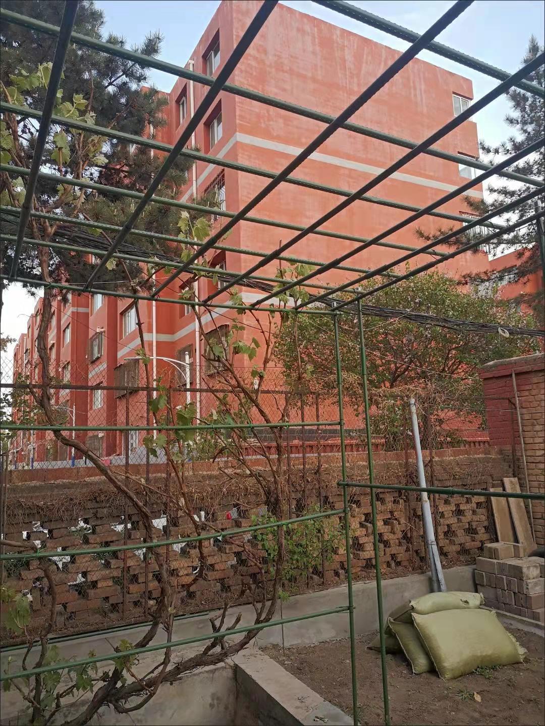 爬藤架庭院户外葡萄架子铁艺爬藤架包塑钢管种植箱固定花架支撑杆