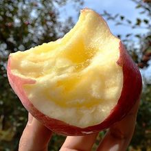 冰糖心苹果山西水果5斤装红富士非山东陕西阿克苏工厂一件批发