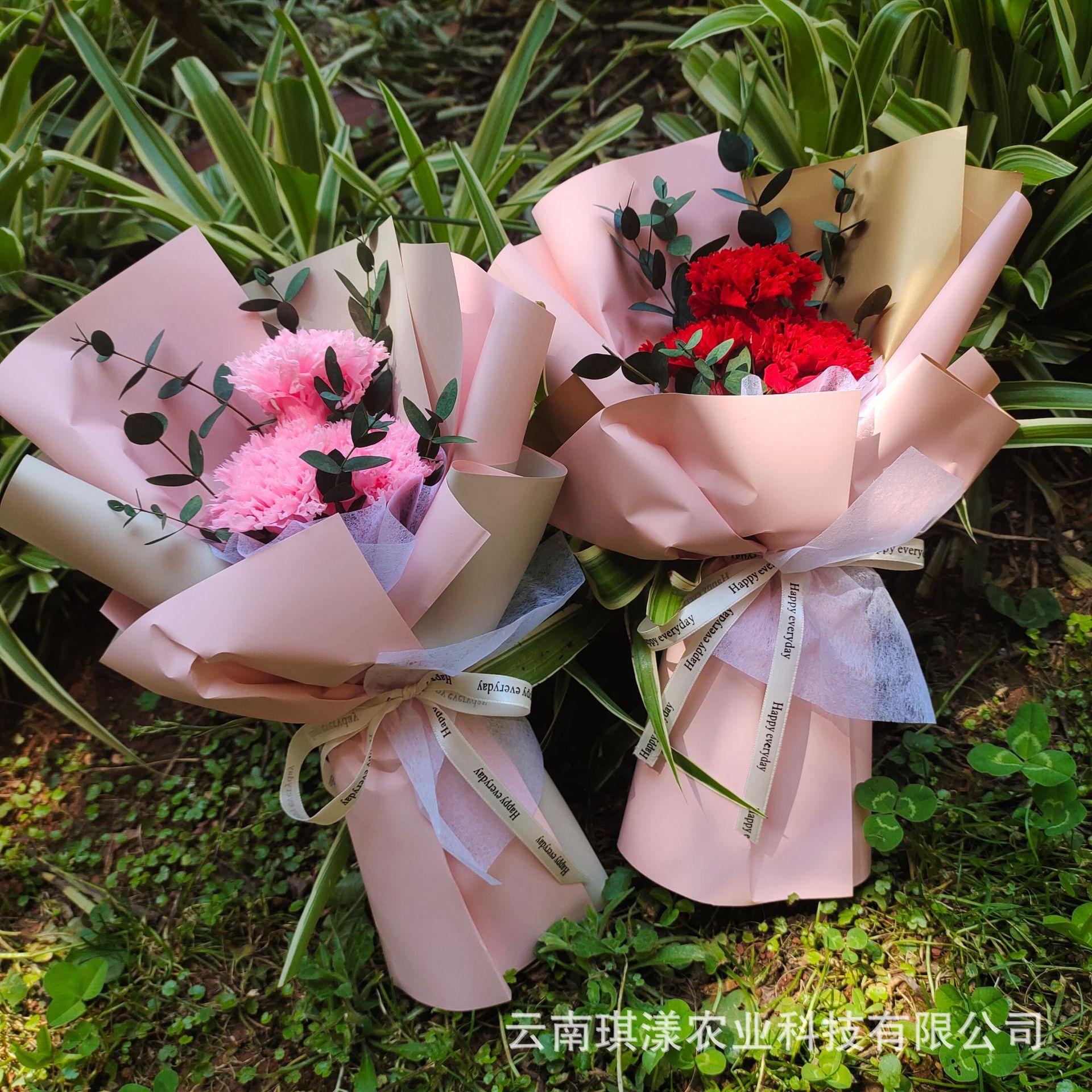 母亲节3朵永生花康乃馨花束ins真花教师节女神节伴手礼物