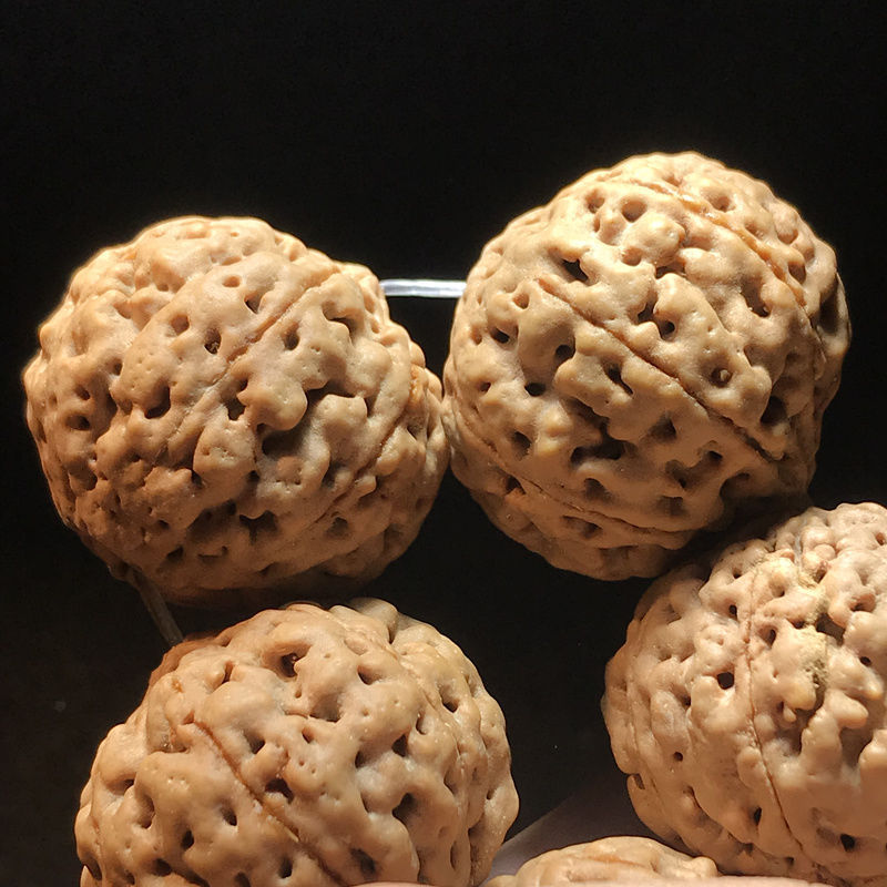 金刚菩提子手串爆肉89瓣姜黄皮蜂王原籽男士佛珠风铃子大手链念珠