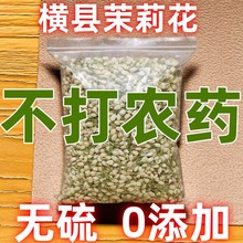 广西横县茉莉花干花苞特级浓香型无硫无农残可食用熬夜养颜孕妇茶