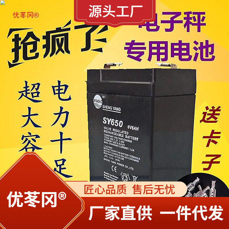 蓄4电子秤台称友声计价可充电4A上海蓄电池v6包邮HV配件电瓶