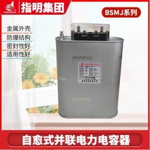 指明集团BSMJ0.23-15-1 低压电力电容器 等级电压 230v订货