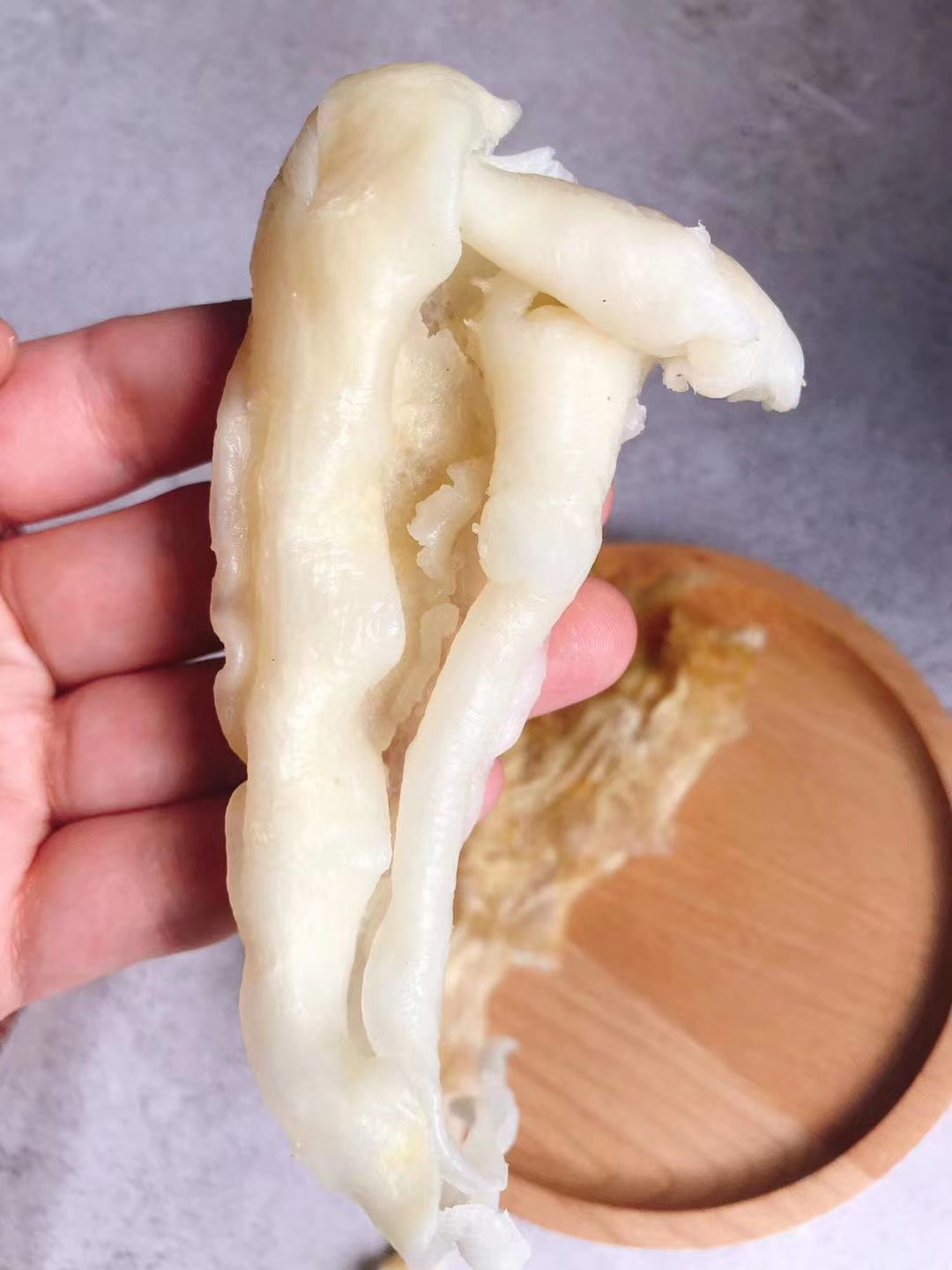 8头左右/斤鲶鱼胶巴沙胶花胶大量批发干货礼盒广州一德路渠道批发