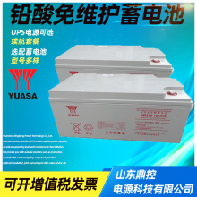 YUASA汤浅NP38-12阀控式密封铅酸蓄电池12V38AH通信电力风力发电