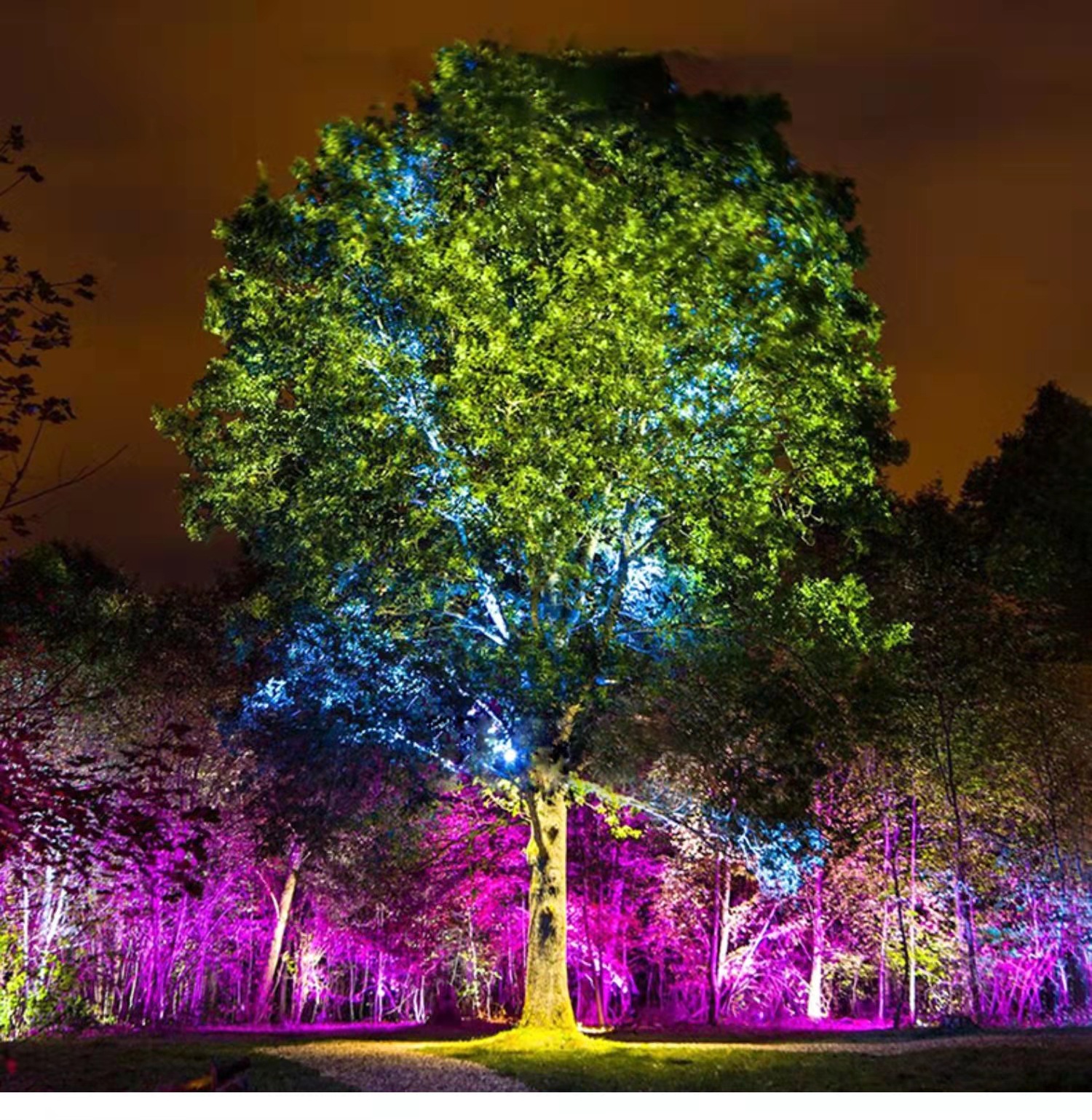 led鸟巢照树灯户外防雨观庭院绿化鸟窝射树投光灯仿真树藤鸟巢灯