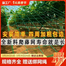 苦瓜棚网牵引院子花架爬藤网攀爬百香果加粗丝瓜网格爬藤网搭架