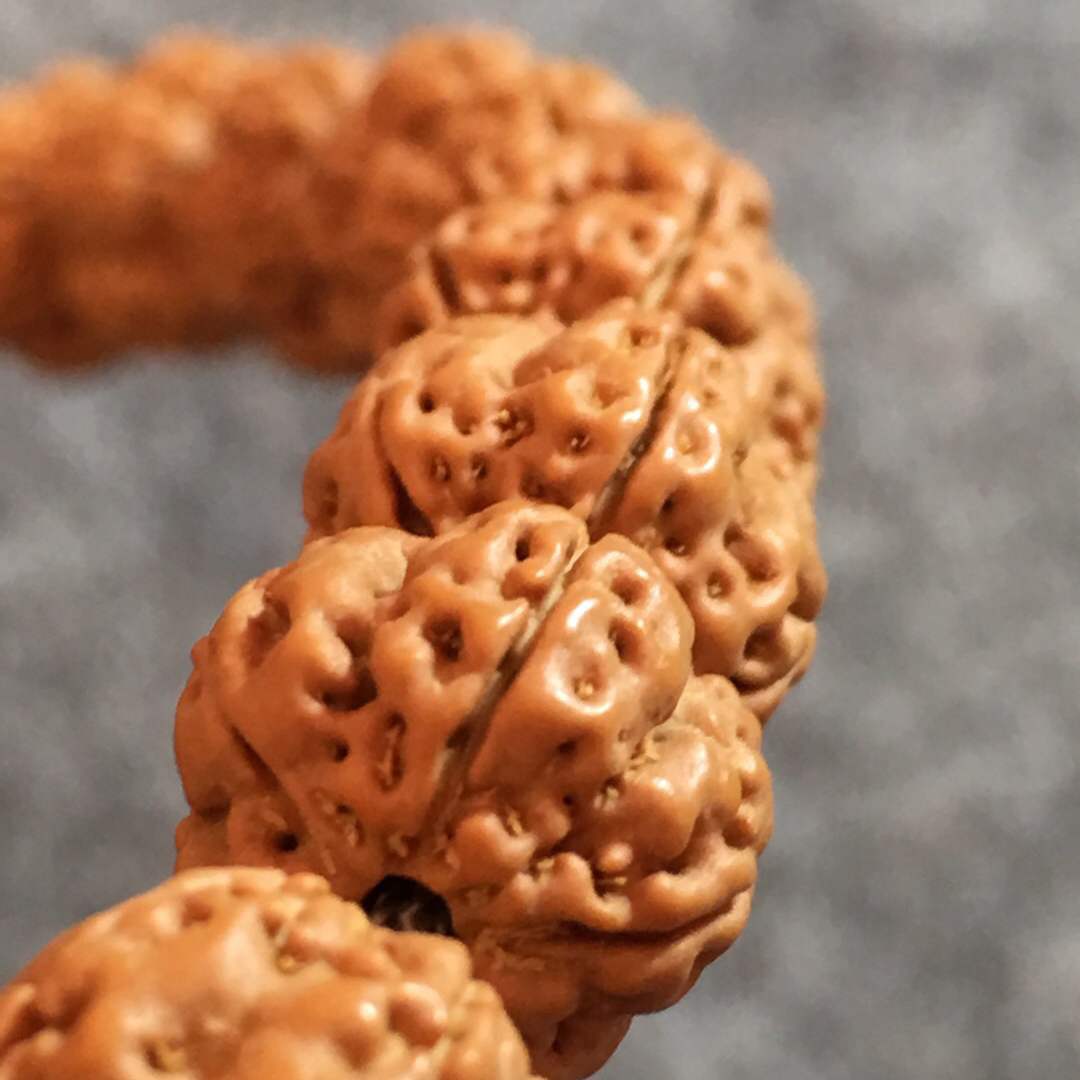 爆肉花王梅花桩小金刚菩提子双龙纹男款手串原籽佛珠高密黄皮新籽
