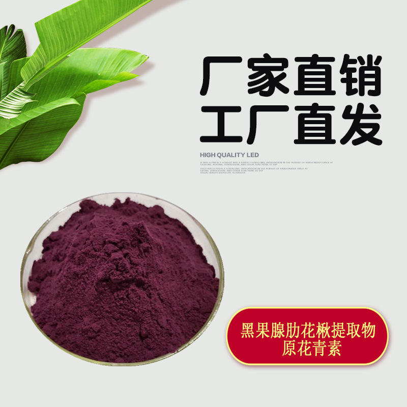 黑果腺肋花楸提取物 原花青素 95% opc 现货 野樱莓提取物