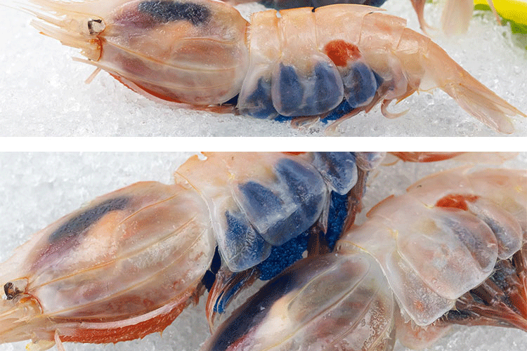 牡丹虾刺身批发日料太子虾鲜活速冻北极甜虾生鲜海鲜【量大从优】