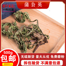 蒲公英干货500g整根带根茶蒲公英茶新鲜浦公英花茶整颗婆婆丁