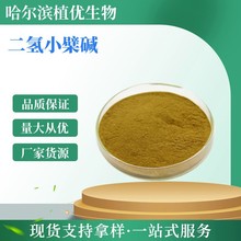 二氢小檗碱 98% 二氢黄连素 483-15-8 保健品原料 批发二氢小檗碱