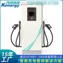 厂家批发双枪切换直流桩 新能源汽车立式直流桩 30KW快充直流桩