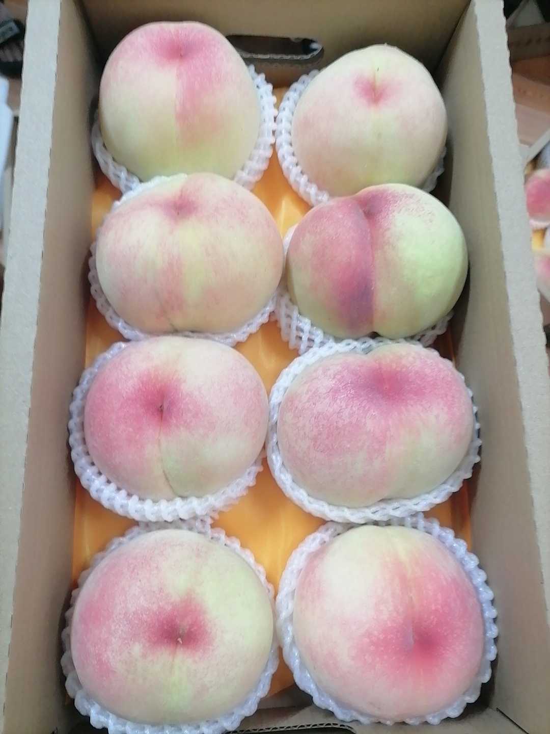 无锡水蜜桃阳山水蜜桃二哥桃园自销礼盒装包甜坏果包赔