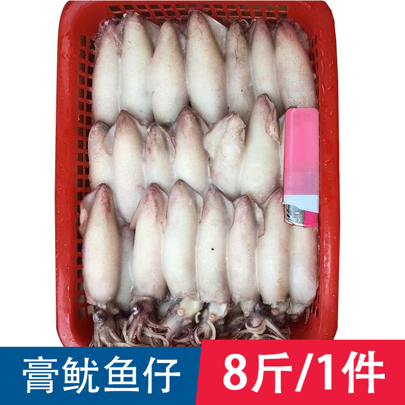 膏鱿鱼仔熟冻糕鱿满籽鲜活笔管鱼墨鱼仔满膏小鱿鱼速冻海兔子满籽