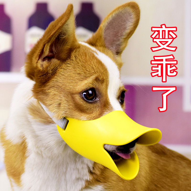 狗嘴套泰迪柯基嘴巴口套宠物用品鸭嘴套狗狗防咬嘴套防叫乱吃嘴罩