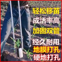 取土秒栽器打穴器花木栽苗打孔移栽玉米移植器挖苗器打洞器不锈钢