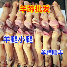 羊蹄新鲜冷冻批发商用非熟食羊血羊头整只生爪子羊肉蹄子鲜羊脚蹄