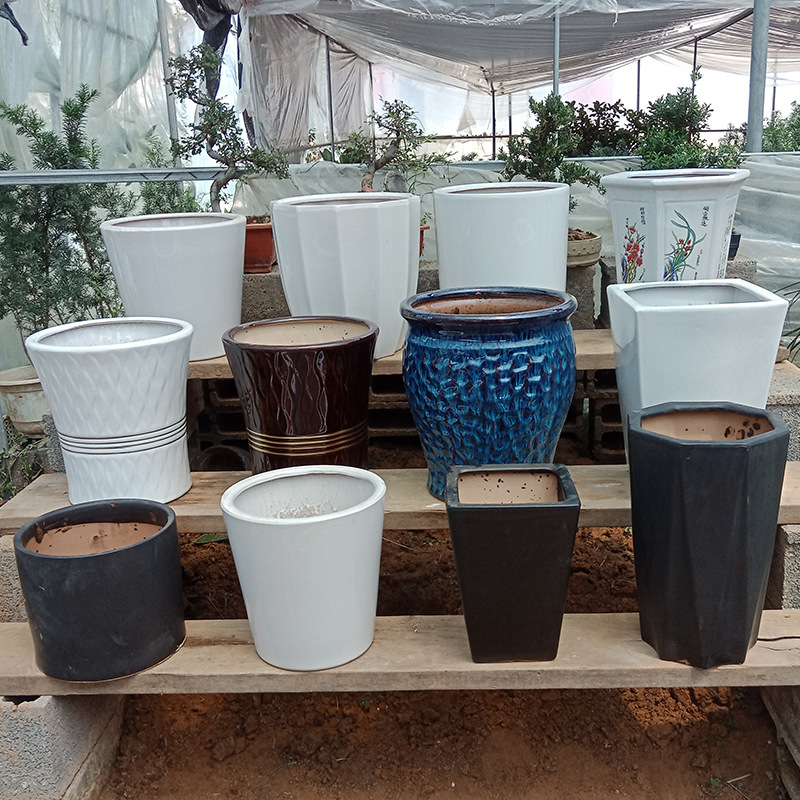 简约创意高筒陶瓷花盆中号特大号发财平安树室内客厅绿植基地批发